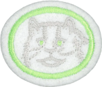 고양이과(초급)