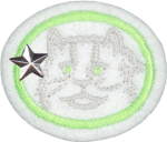 고양이과(고급)