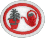 실내 화분용 화초