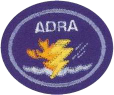 재난 대응 고급