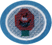 플라스틱 캔버스